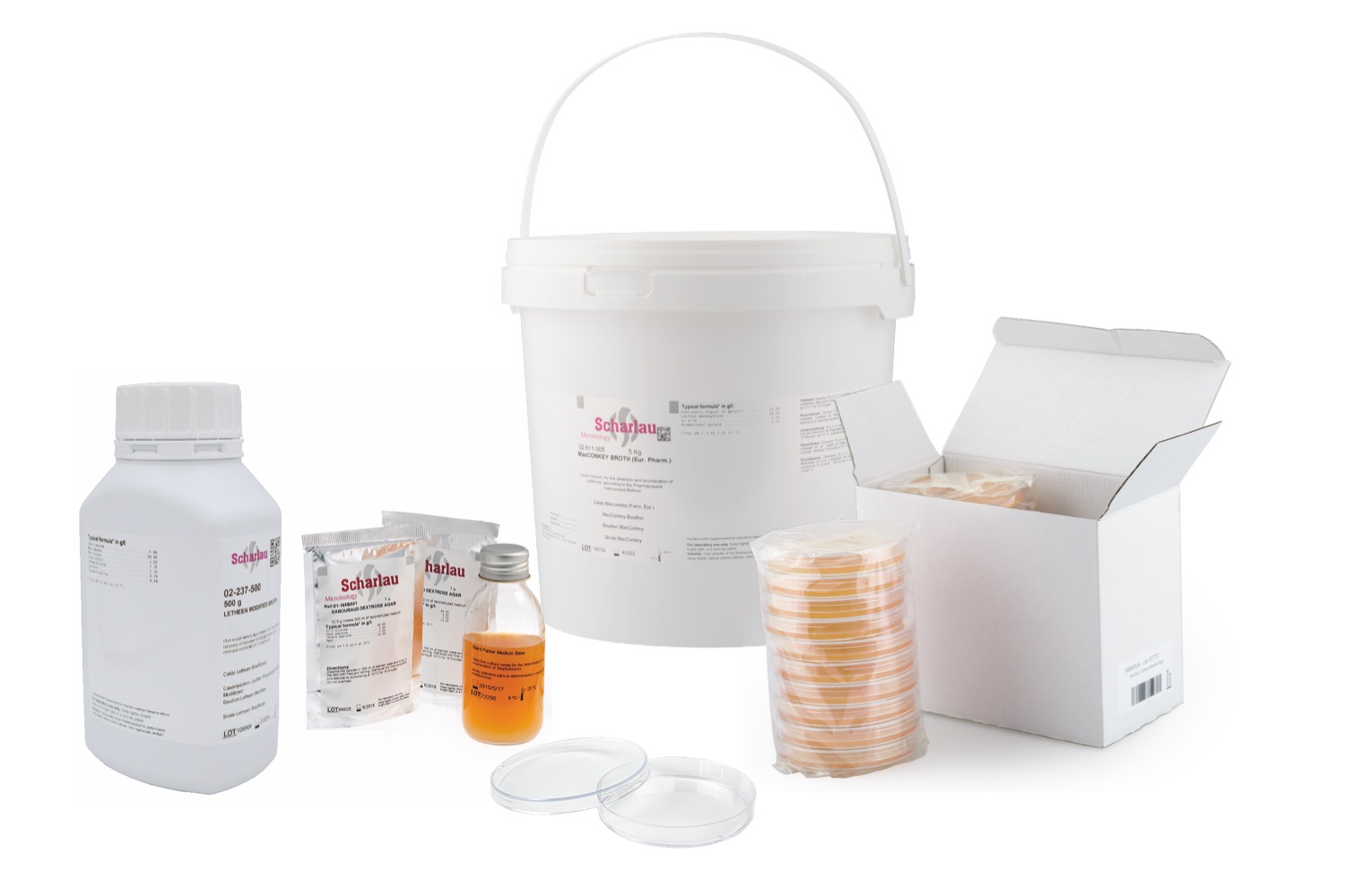 ROCC Microbiology Scharlau